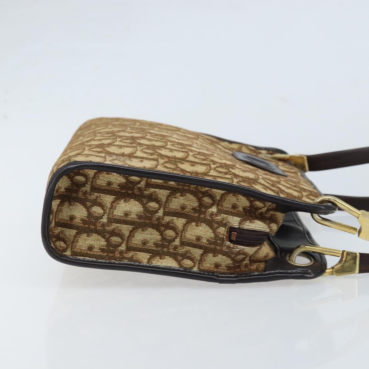Christian Dior Oblique Shoulder Bag
