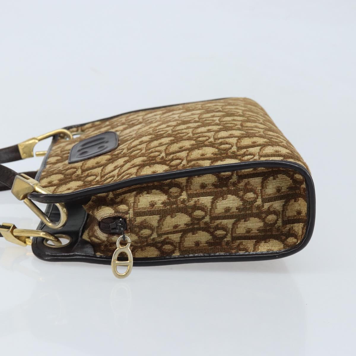 Christian Dior Oblique Shoulder Bag