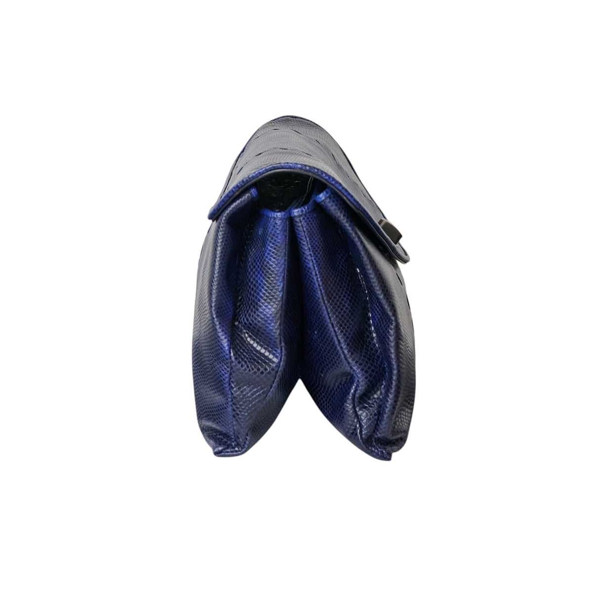 Bottega Veneta Blue Ombré Watersnake Clutch