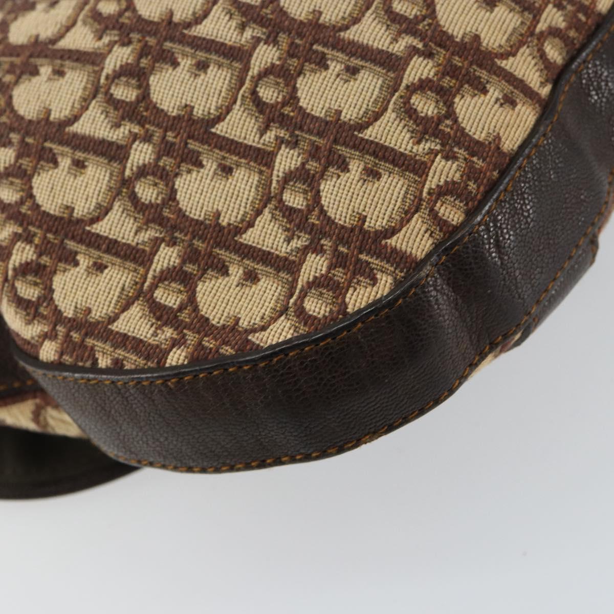 Christian Dior 2006 Galliano Messanger Bag