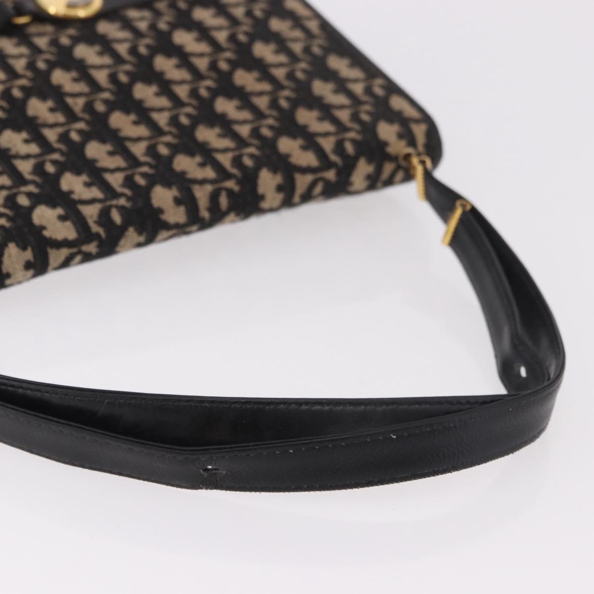 Christian Dior Oblique Canvas Shoulder Bag