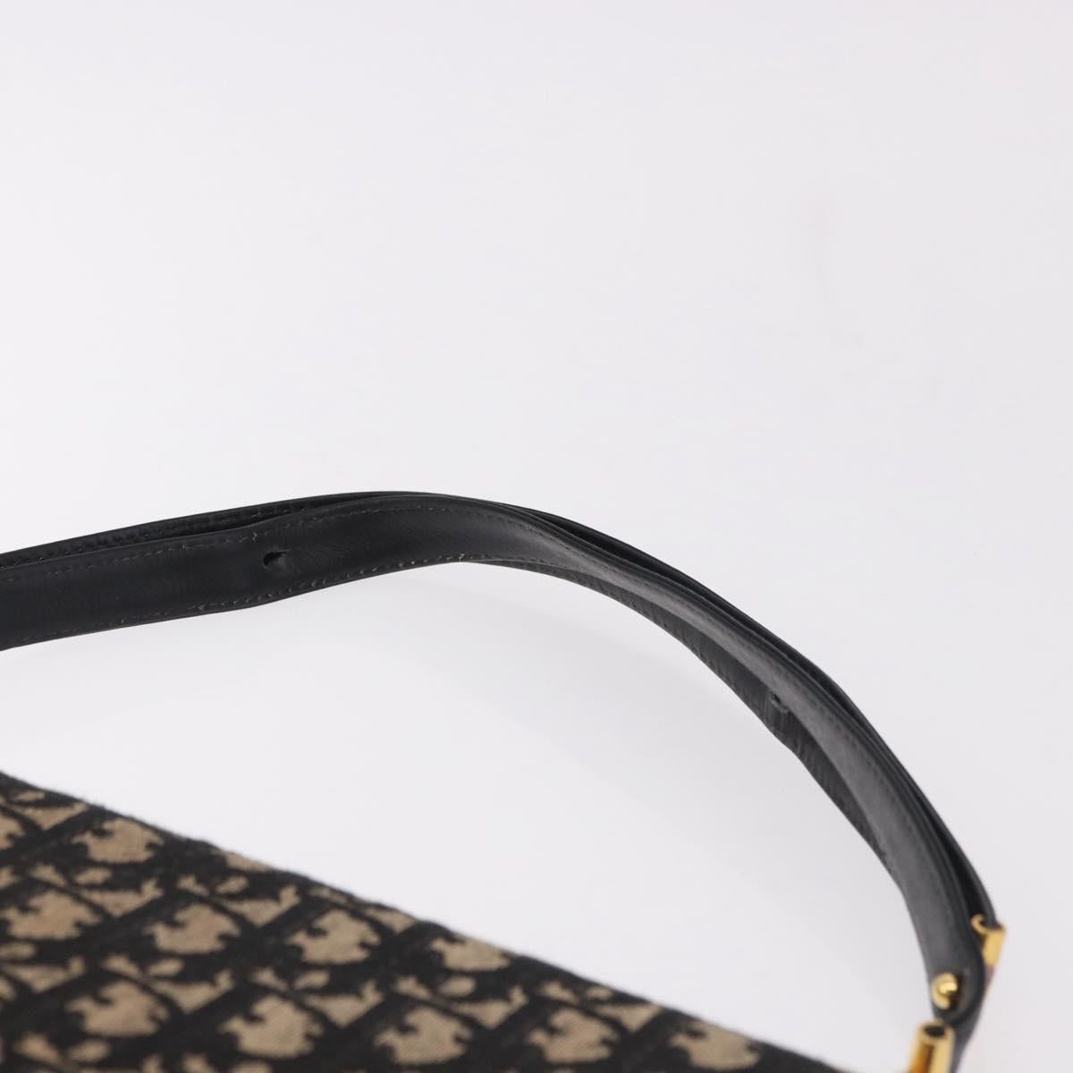 Christian Dior Oblique Canvas Shoulder Bag