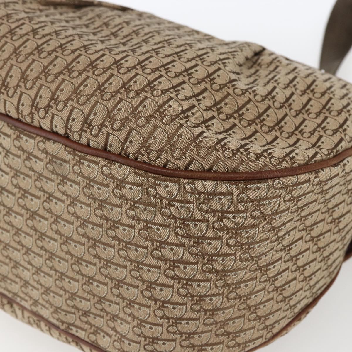 Christian Dior Galliano Oblique Shoulder Bag