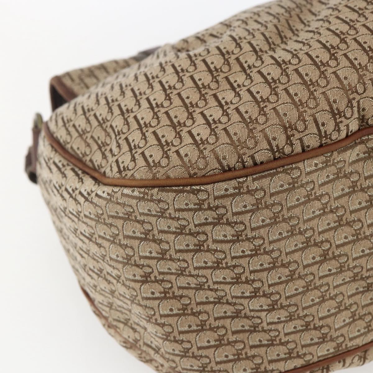 Christian Dior Galliano Oblique Shoulder Bag